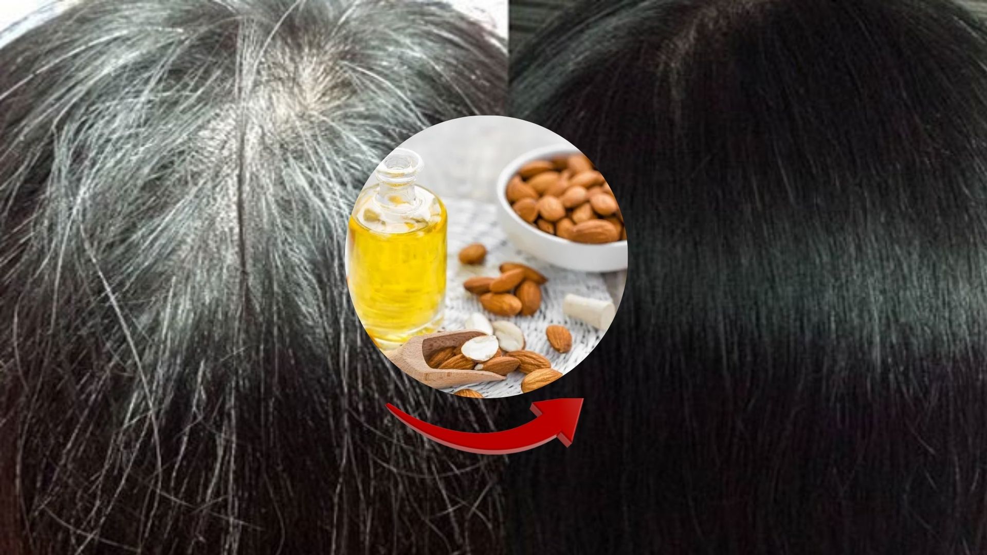 White Hair Remedy For White hair use Almond Oil White Hair Remedy ರಾತ್ರಿ ಮಲಗುವ ಮುನ್ನ ಈ ಎಣ್ಣೆ