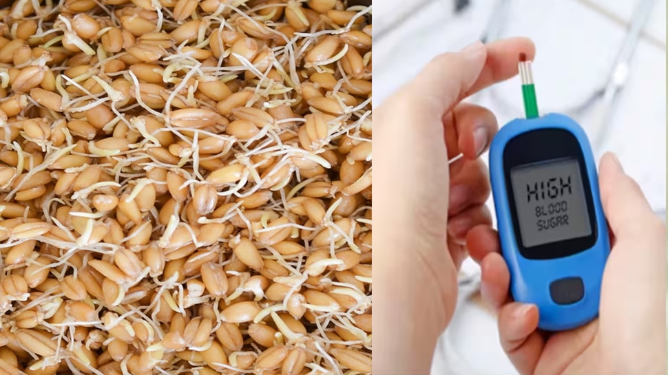 taming diabetes how to eat sprouted wheat to control diabetes Taming