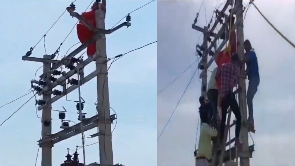 Viral Video: What Did The Wife Who Climbed The Electric Pole When She ...