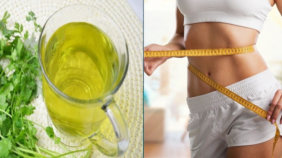 Coriander juice is considered a panacea for thyroid and weight loss ಈ