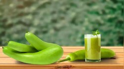 Bottle Gourd: ಬೇಸಿಗೆಯಲ್ಲಿ ಸೋರೆಕಾಯಿಯನ್ನು ಸೇವಿಸಿದರೆ ದೇಹಕ್ಕೆ ಏನಾಗುತ್ತದೆ ಗೊತ್ತೇ? 