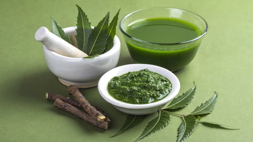 Health Benefits Of Eating Neem Leaves Daily Neem Leaves ಪ್ರತಿದಿನ ಬೇವಿನ
