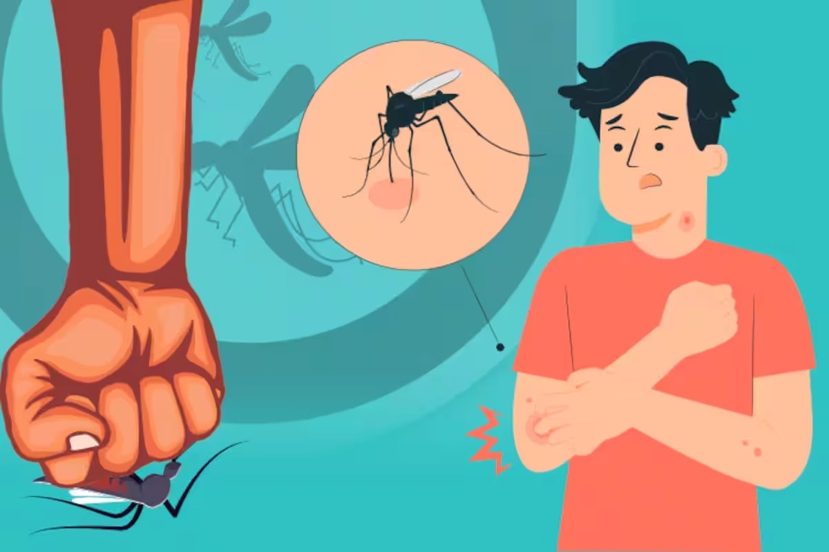 National Dengue Day 2024 : ಮಾರಕ ಡೆಂಗ್ಯೂ ನಿಯಂತ್ರಣಕ್ಕೆ ಇಲ್ಲಿವೆ ಸರಳ ಉಪಾಯಗಳು..! National Dengue Day 2024 : ಮಾರಕ ಡೆಂಗ್ಯೂ ನಿಯಂತ್ರಣಕ್ಕೆ ಇಲ್ಲಿವೆ ಸರಳ ಉಪಾಯಗಳು..!