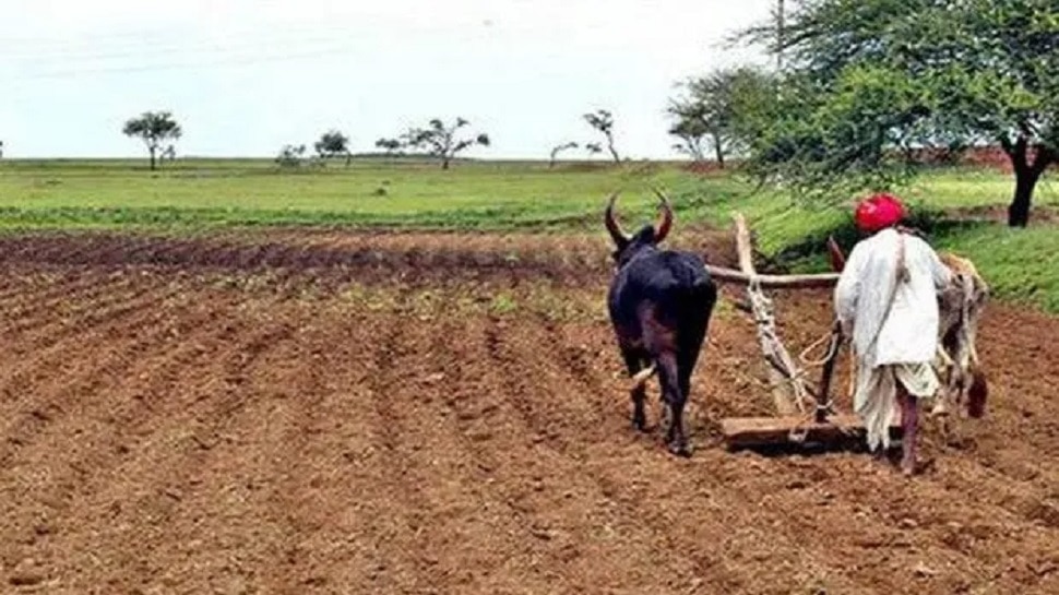 ಬಿತ್ತನೆ ಬೀಜ ದರ ಹೆಚ್ಚಳಕ್ಕೆ ಕೆಲವು ಕಾರಣಗಳಿವೆ: ಕೃಷಿ ಸಚಿವ ಚಲುವರಾಯಸ್ವಾಮಿ ಸ್ಪಷ್ಟನೆ