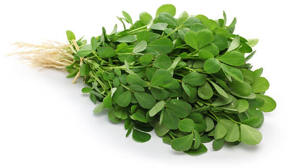 fenugreek leaves health benefits ಮೆಂತ್ಯ ಸೊಪ್ಪಿನ ಆರೋಗ್ಯ ಪ್ರಯೋಜನ News