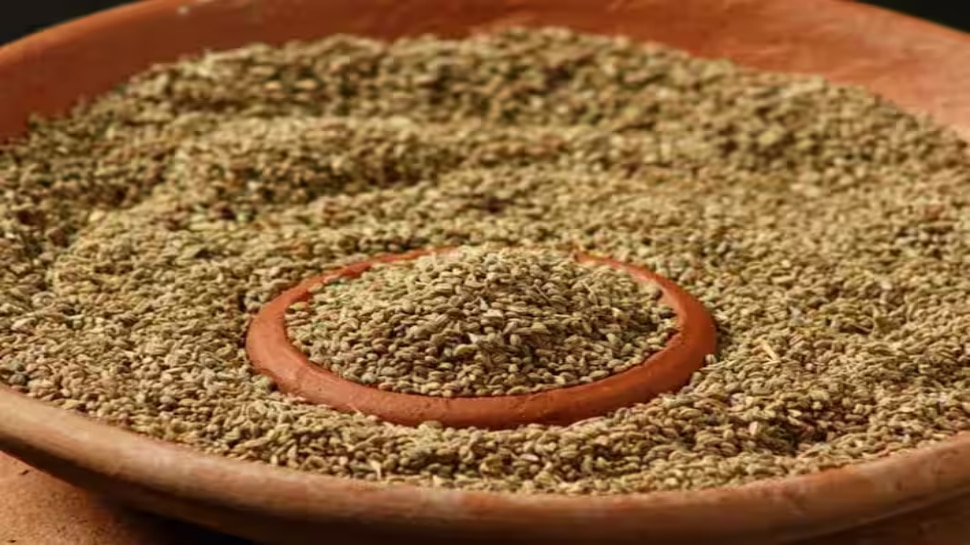 Carom Seed