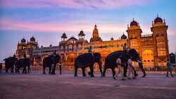 2024ನೇ ಸಾಲಿನ ದಸರಾದಲ್ಲಿ ಪಾಲ್ಗೊಳ್ಳುವ ಆನೆಗಳ ಪಟ್ಟಿ ಬಿಡುಗಡೆ: ಅಭಿಮನ್ಯು ಸೇರಿ 14 ಆನೆಗಳು ಭಾಗಿ