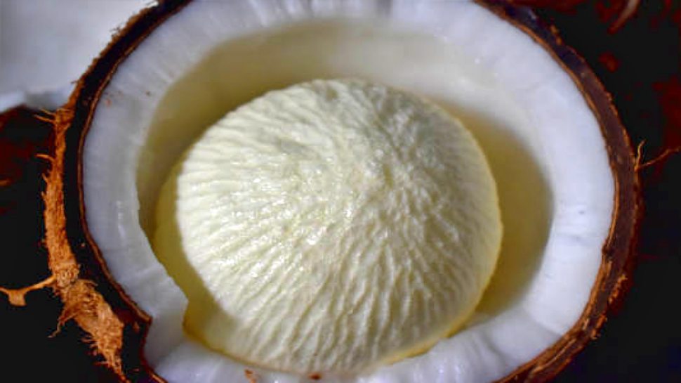 health benefits of Coconut embryo|ಮಧುಮೇಹ ನಿಯಂತ್ರಿಸಲು ತೆಂಗಿನ ಹೂವು|ತೆಂಗಿನ ...