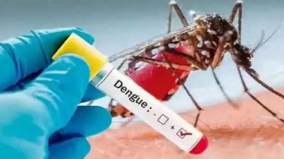 ಡೆಂಘಿ ಜ್ವರವನ್ನು ಸಾಂಕ್ರಾಮಿಕ ಕಾಯಿಲೆ ಎಂದು ಘೋಷಣೆ, ಸ್ವಚ್ಚತೆ ನಿರ್ಲಕ್ಷಿಸಿದರೆ ಇನ್ಮುಂದೆ ದಂಡ...!