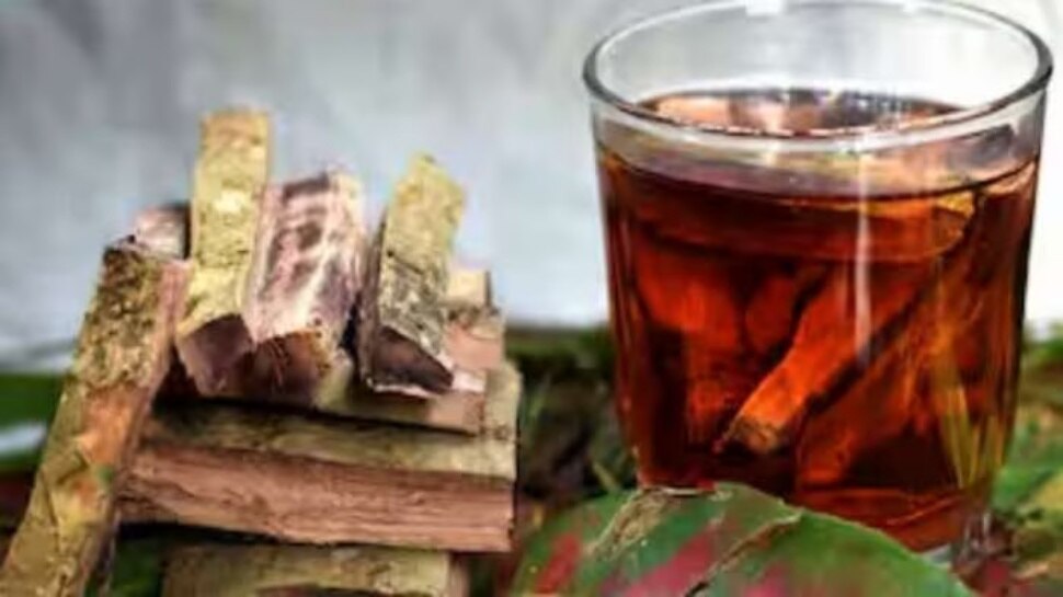  Blood sugar Remedies 