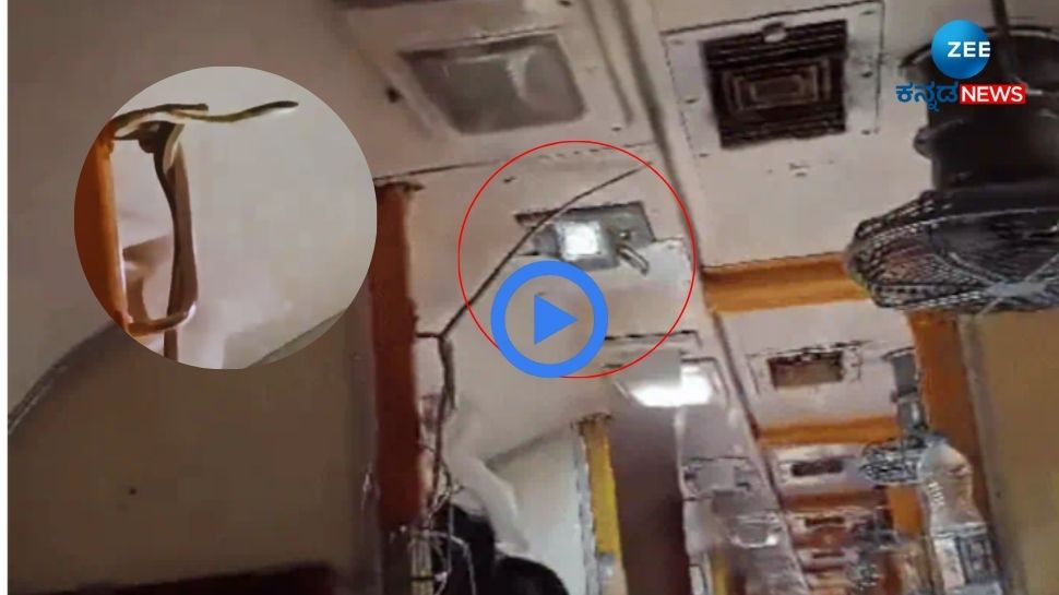 Snake viral video latest news ಎಕ್ಸ್‌ಪ್ರೆಸ್‌ ರೈಲಿನ ಎಸಿ ಕೋಚ್‌ನಲ್ಲಿ