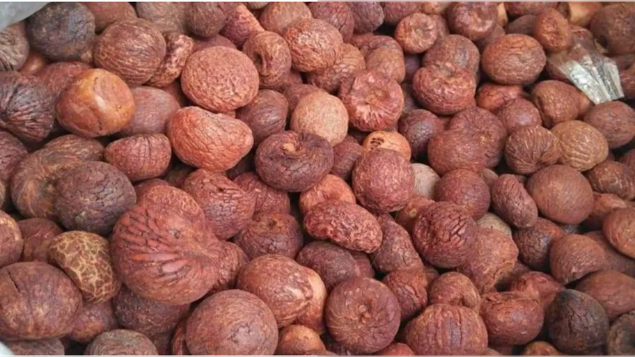 Arecanut Price: ಚಿತ್ರದುರ್ಗ, ಶಿವಮೊಗ್ಗ ಮತ್ತು ಯಲ್ಲಾಪುರದಲ್ಲಿ ಇಂದಿನ ಅಡಿಕೆ ರೇಟ್