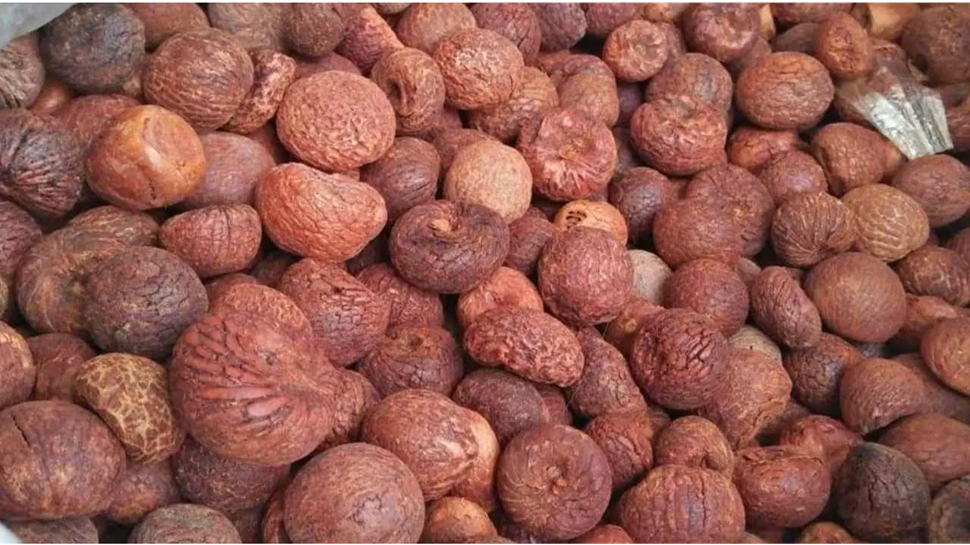 Arecanut Price: ಚಿತ್ರದುರ್ಗ, ಶಿವಮೊಗ್ಗ ಮತ್ತು ಯಲ್ಲಾಪುರದಲ್ಲಿ ಇಂದಿನ ಅಡಿಕೆ ರೇಟ್ Arecanut Price: ಚಿತ್ರದುರ್ಗ, ಶಿವಮೊಗ್ಗ ಮತ್ತು ಯಲ್ಲಾಪುರದಲ್ಲಿ ಇಂದಿನ ಅಡಿಕೆ ರೇಟ್