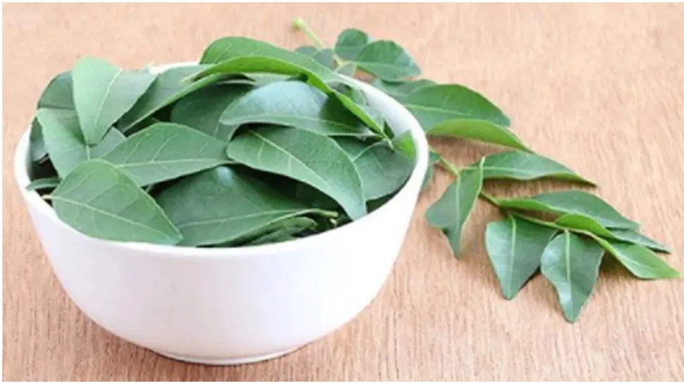 ಪ್ರತಿದಿನ ಮುಂಜಾನೆ ಈ ಎಲೆಯನ್ನ ಚೆನ್ನಾಗಿ ಅಗಿಯಿರಿ; ಈ ಜನ್ಮದಲ್ಲಿ ನಿಮಗೆ ಮಧುಮೇಹ ಬರೋದಿಲ್ಲ! 