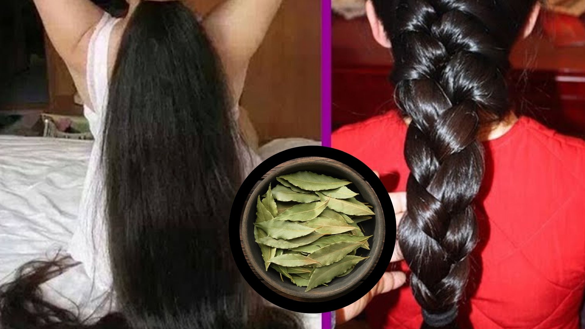 ಕೂದಲಿನ ಎಲ್ಲಾ ಸಮಸ್ಯೆಗೆ ರಾಮಬಾಣ ʼಈʼ ಎಲೆ..! ಹೀಗೆ ಬಳಸಿದ್ರೆ ಮೊನಕಾಲುದ್ದ.. ದಷ್ಟಪುಷ್ಟ ಕೇಶರಾಶಿ ನಿಮ್ಮದಾಗುತ್ತೆ!! 