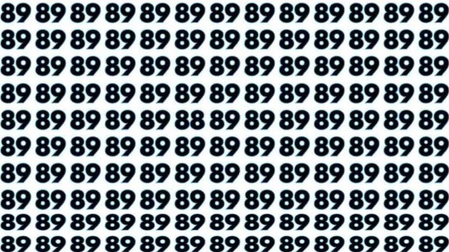 ಕಣ್ಣಿನ ದೃಷ್ಟಿ ಪರೀಕ್ಷೆ..!! ಈ ಫೋಟೋದಲ್ಲಿ ʼ88' ಸಂಖ್ಯೆ ಎಲ್ಲಿದೆ ಅಂತ ಕಂಡುಹಿಡಿಯುವಿರಾ..?
