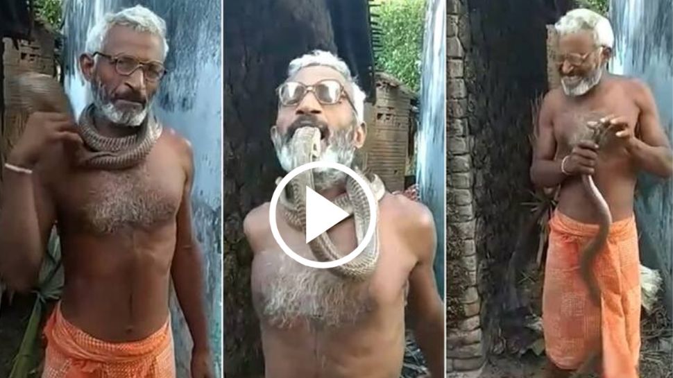 ತನ್ನನು ಕಚ್ಚಲು ಬಂದ ನಾಗರಹಾವಿನ ಹೆಡೆಯನ್ನೇ ಹಿಡಿದು ಕಚ್ಚಿದ ಭೂಪ...  ಇದಕ್ಕೆ ನೀವೇನಾದ್ರೂ ಹೆಸರಿಡ್ತೀರಾ... ವಿಡಿಯೋ ನೋಡಿ ಹೇಳಿ... 