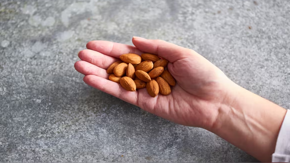  ದಿನಕ್ಕೆ ಒಂದು ಹಿಡಿ ಬಾದಾಮಿ ತಿಂದರೆ ಏನಾಗುತ್ತೆ ಗೊತ್ತೇ? 