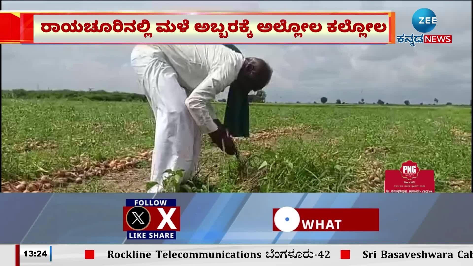 Onion crop destroyed due to rain in Raichur