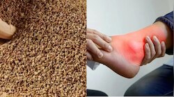 Ajwain benefits: ಒಂದೇ ಒಂದು ಚಮಚ ಅಜವಾನ ಸೇವಿಸಿದ್ರೆ ದೇಹದಲ್ಲಿ ಹೆಚ್ಚಿದ ಯೂರಿಕ್ ಆಮ್ಲವನ್ನು ನಿಯಂತ್ರಿಸುತ್ತೆ!
