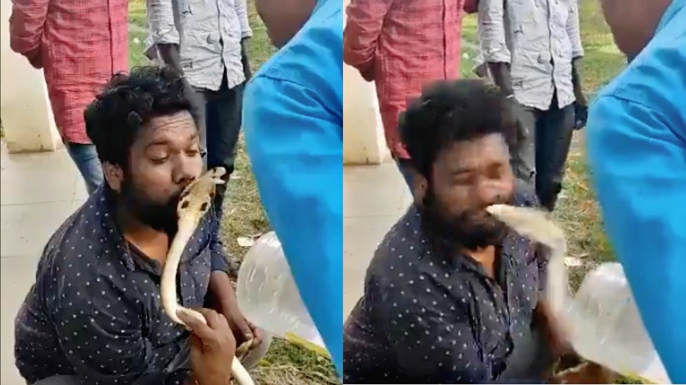 Viral Video: ಹಾವಿನ ಜೊತೆ ಯುವಕನ ಚೆಲ್ಲಟ.! ಮುಂದೆ ಆಗಿದ್ದೇನು ಗೊತ್ತಾ..? ವಿಡಿಯೋ ನೋಡಿ
