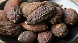 blood sugar remedy: ಶುಗರ್‌ ನಿಯಂತ್ರಿಸುವ ಚಮತ್ಕಾರಿ ಬೀಜ.. ರಾತ್ರಿ ಮಲಗುವ ಮುನ್ನ ಸೇವಿಸಿದರೆ ರಕ್ತದಲ್ಲಿನ ಸಕ್ಕರೆ ಮಟ್ಟ ಕಂಪ್ಲೀಟ್‌ ಕಂಟ್ರೋಲ್‌ ಆಗುತ್ತೆ! 