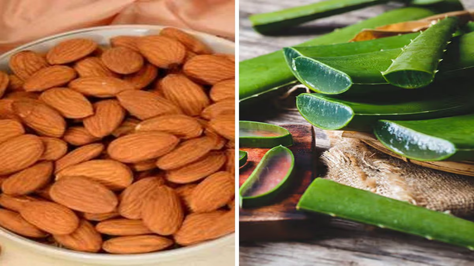 Winter Skin care: ಮನೆ ಮದ್ದಿನಿಂದ ಹೊಳಪಿನ ತ್ವಚೆ ಪಡೆಯಲು ಈ ಸರಳ ಮಾರ್ಗಗಳನ್ನು ಅನುಸರಿಸಿ....! Winter Skin care: ಮನೆ ಮದ್ದಿನಿಂದ ಹೊಳಪಿನ ತ್ವಚೆ ಪಡೆಯಲು ಈ ಸರಳ ಮಾರ್ಗಗಳನ್ನು ಅನುಸರಿಸಿ....!