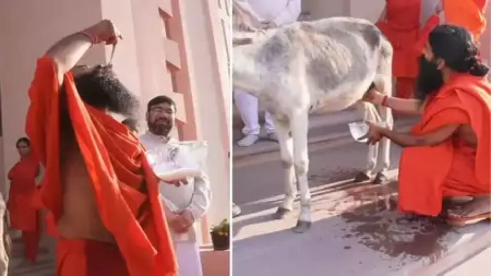 ಹಸು ಎಮ್ಮೆ ಅಲ್ಲ ಈ ಪ್ರಾಣಿ ಹಾಲಿನಲ್ಲಿದೆ ಹೆಚ್ಚು ಪೌಷ್ಟಿಕಾಂಶ ! ಸೌಂದರ್ಯ ಹೆಚ್ಚಿಸುವುದರ ಆಂಟಿ ಏಜಿಂಗ್ ಆಗಿಯೂ ಕೆಲಸ ಮಾಡುತ್ತದೆ !