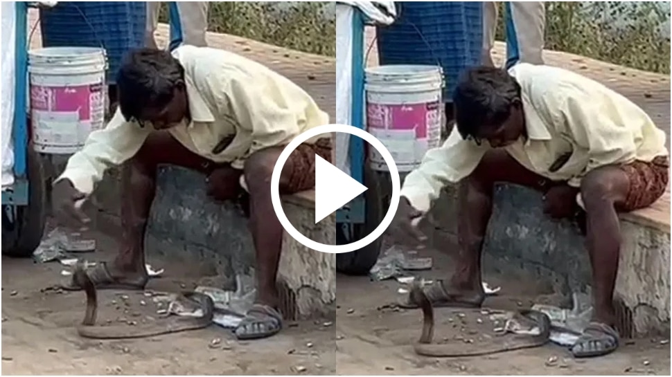 ನಾಗಪ್ಪ ಯಾವ್‌ ಮೂಡ್‌ನಲ್ಲಿದ್ನೋ ಏನೋ..! ಕುಡಕ ಕಾಟ ಕೊಟ್ರೂ ಪಾಪಾ ಕಚ್ಚದೆ ಸುಮ್ನಿದ್ದ.. ವಿಡಿಯೋ ವೈರಲ್‌