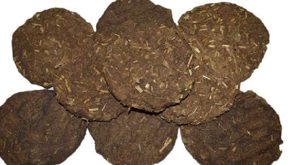 Is Cow Dung Good For Human Health Least Known Health Benefits Of Cow is-cow-dung-good-for-human-health-least-known-health-benefits-of-cow