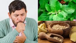 Health Tips: ನೆಗಡಿ & ಕೆಮ್ಮಿನ ಸಮಸ್ಯೆ ಮತ್ತೆ ಮತ್ತೆ ಕಾಡುತ್ತಿದ್ದರೆ ಇವುಗಳನ್ನ ಸೇವಿಸಿರಿ!!