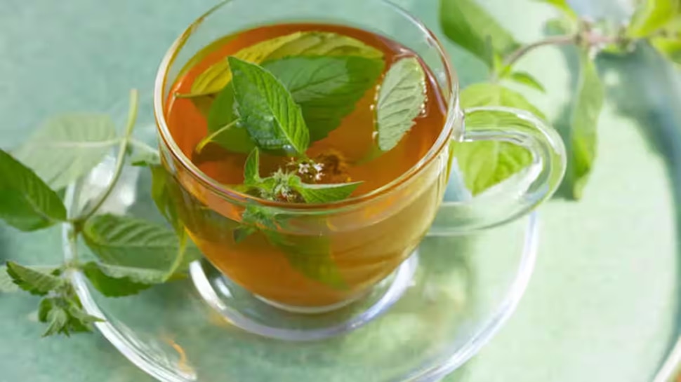 Know these benefits of Tulsi decoction | ತುಳಸಿ ಕಷಾಯದ ಈ ಪ್ರಯೋಜನಗಳು ತಿಳಿಯಿರಿ|  Health News in Kannada