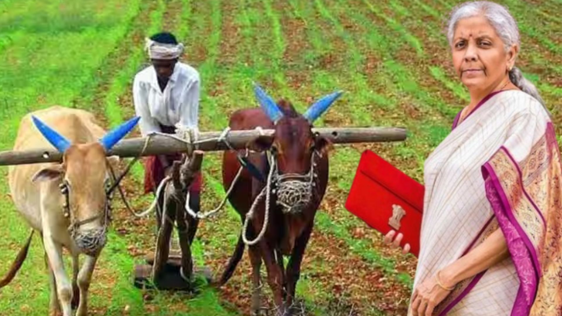 ರೈತರಿಗೆ ಭರ್ಜರಿ ಗುಡ್ ನ್ಯೂಸ್.. ಬಜೆಟ್ ನಲ್ಲಿ ನಿರ್ಮಲಾ ಸೀತಾರಾಮನ್ ಮಹತ್ವದ ಘೋಷಣೆ!