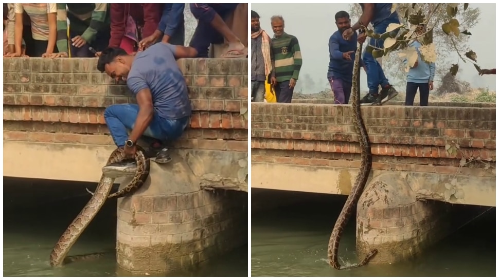 ಪ್ರಾಣ ಒತ್ತೆಯಿಟ್ಟು ಹೆಬ್ಬಾವನ್ನು ರಕ್ಷಿಸಿದ ಯುವಕ..! ಎದೆ ಝಲ್‌ ಎನ್ನುವ... ವಿಡಿಯೋ ಇಲ್ಲಿದೆ ನೋಡಿ..