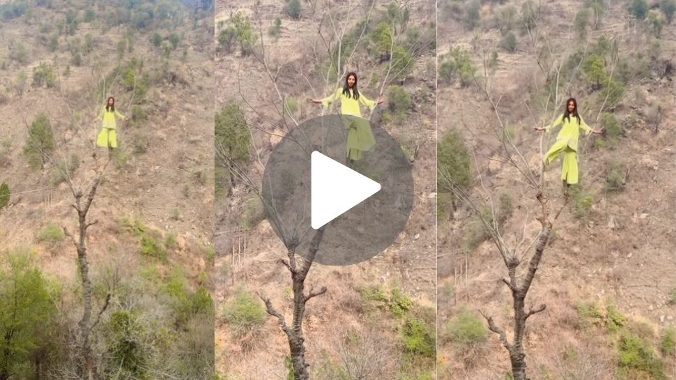 Viral Video: "ಕುಣಿಯೋಕೆ ನಿಂಗೆ ಬೇರೆ ಯಾವ್ದು ಜಾಗ ಸಿಗ್ಲಿಲ್ವೆನಮ್ಮಾ..?" ಎಲ್ಲಾ ಜಾಗ ಆಯ್ತು.. ಈಗ ರೀಲ್ಸ್‌ ಮಾಡಿ ಫೇಮಸ್‌ ಆಗೋಕೆ ಮರ ಹತ್ತಿದ್ದಾಳೆ ಈ ಹುಡುಗಿ 