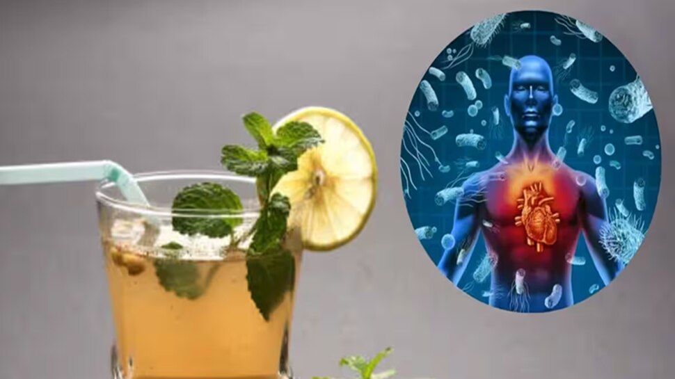 ಈ 5 ಪಾನೀಯಗಳನ್ನು ನೀವು ತಪ್ಪದೆ ಸೇವಿಸಿ ಅವು ನಿಮ್ಮ ದೇಹವನ್ನು ಶುದ್ಧೀಕರಿಸುತ್ತವೆ..!