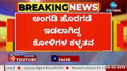 ಶರ್ಟ್‌ನಿಂದ ಮುಖ ಮುಚ್ಚಿಕೊಂಡು ಕೋಳಿ ಕಳ್ಳತನ