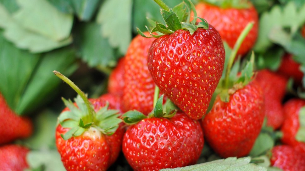 strawberry for sugar control