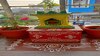 ತುಳಸಿ ವಾಸ್ತು ನಿಯಮ 
