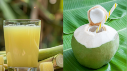 ಕಬ್ಬಿನ ರಸ vs ತೆಂಗಿನ ನೀರು.. ಬಿಸಿಲಿನಲ್ಲಿ ಆರೋಗ್ಯಕ್ಕೆ ಯಾವುದು ಉತ್ತಮ?