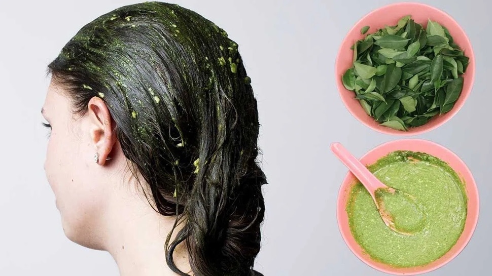 White Hair: ನಿಮ್ಮ ಹಿತ್ತಲಲ್ಲಿ ಬೆಳೆಯುವ ʻಈʼ ಎಲೆಯನ್ನು ರುಬ್ಬಿ ತಲೆಗೆ ಹಚ್ಚಿ.. 5 ದಿನಗಳಲ್ಲಿ ಬಿಳಿ ಕೂದಲನ್ನು ಶಾಶ್ವತವಾಗಿ ಕಪ್ಪಾಗಿಸಿ