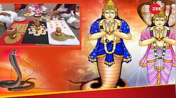 ನಿಮ್ಮ ಜಾತಕದಲ್ಲಿ ಕಾಳ ಸರ್ಪ ದೋಷವಿದೆಯೇ? ಶನಿ ಅಮಾವಾಸ್ಯೆಯಂದು ಈ ಕೆಲಸ ಮಾಡಿ..!