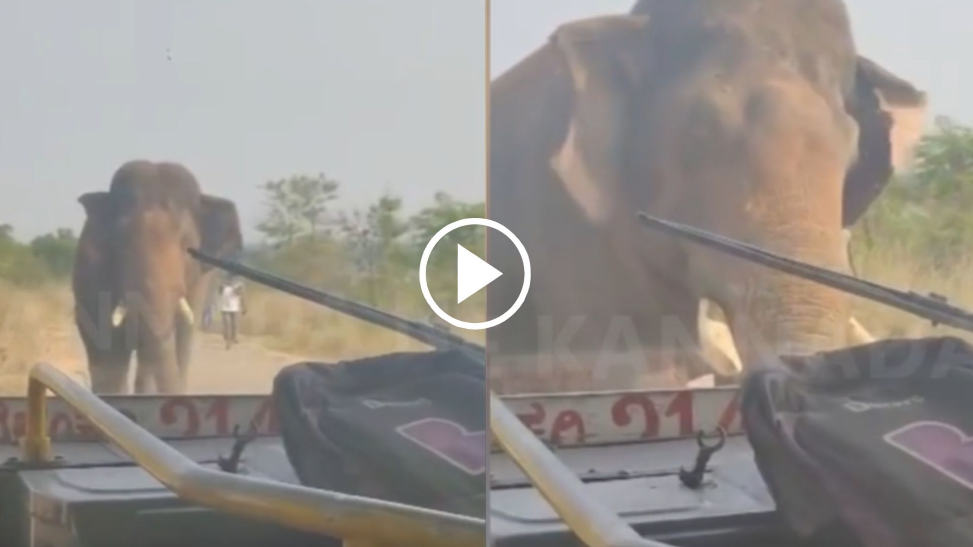 ಬಸ್ ಮುಂದೆ ಒಂಟಿ ಆನೆ ವಾಕ್... ಪ್ರಯಾಣಿಕರು ಫುಲ್ ಶಾಕ್....  ವಿಡಿಯೋ ವೈರಲ್