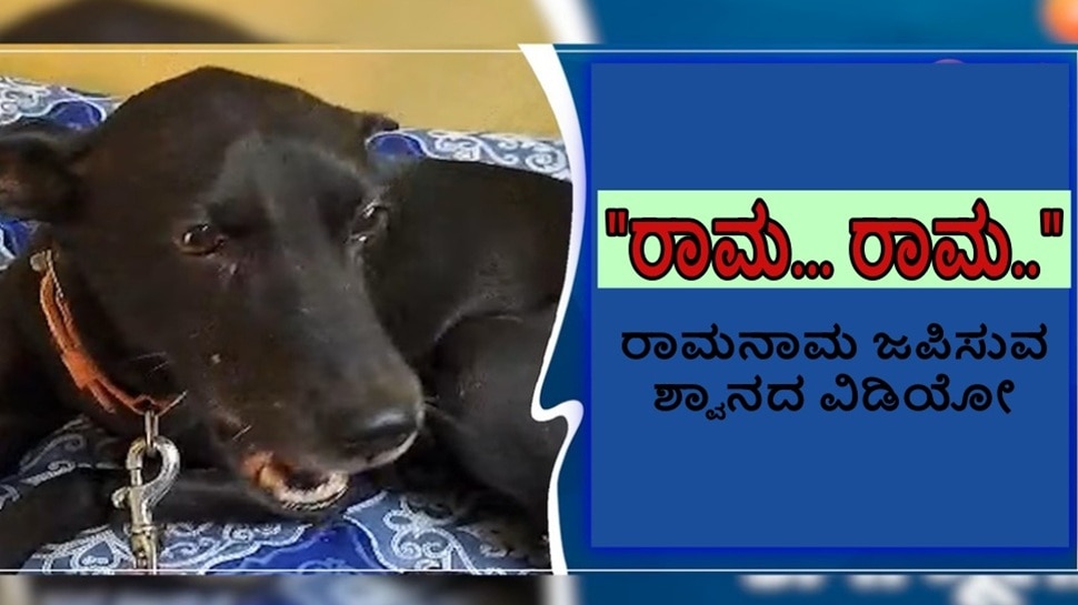 Viral Video: ರಾಮ.. ರಾಮ... ಎನ್ನುತ್ತಾ ರಾಮನಾಮ ಜಪಿಸುತ್ತಿದೆ ನಾಯಿ! ಶ್ವಾನದ ರಾಮಭಕ್ತಿಯ ಅಪರೂಪದ ವಿಡಿಯೋ ಇಲ್ಲಿದೆ 