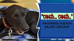 Viral Video: ರಾಮ.. ರಾಮ... ಎನ್ನುತ್ತಾ ರಾಮನಾಮ ಜಪಿಸುತ್ತಿದೆ ನಾಯಿ! ಶ್ವಾನದ ರಾಮಭಕ್ತಿಯ ವಿಡಿಯೋ