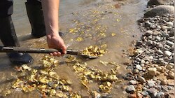 Gold River: ಭಾರತದ ಈ ನದಿಯಲ್ಲಿ ನೀರಿನ ಜೊತೆಯೇ ಹರಿದು ಬರುತ್ತೆ ಚಿನ್ನ! ಫ್ರೀ ಆಗಿ ಯಾವುದೇ ಅಡ್ಡಿಯಿಲ್ಲದೆ ಕೆಜಿಗಟ್ಟಲೆ ಬಂಗಾರ ನೀವೂ ಮನೆಗೆ ತರಬಹುದು