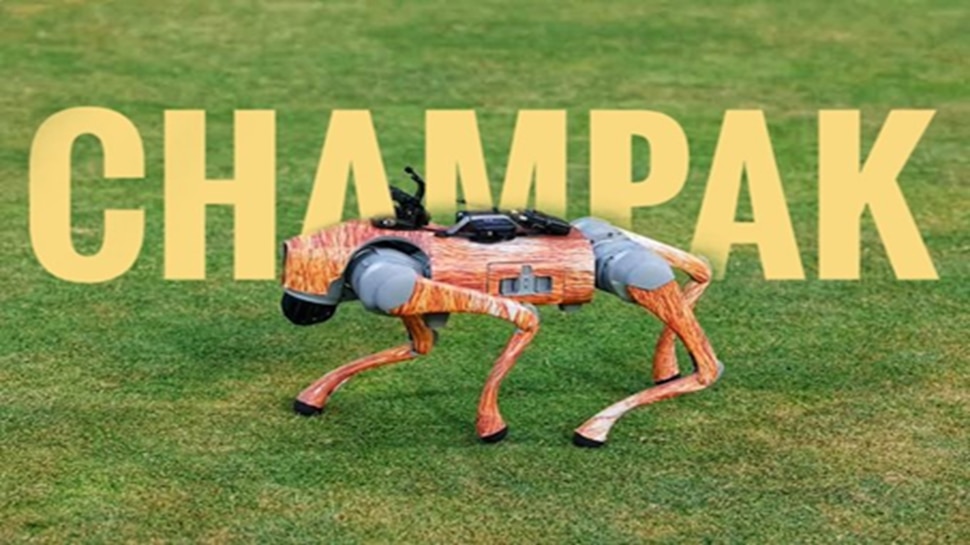 Explainer: ಏನಿದು ರೋಬೋ ನಾಯಿ ಚಂಪಕ್? ಐಪಿಎಲ್ ನಲ್ಲಿ ಓಡಾಡುವ ಈ ರೋಬೋ ಬಗ್ಗೆ ನಿಮಗೆಷ್ಟು ಗೊತ್ತು?