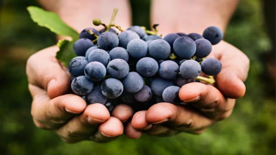 Cholesterol: Eat this fruit and watch cholesterol into water, postpone the risk of heart attack 71 516721 3
