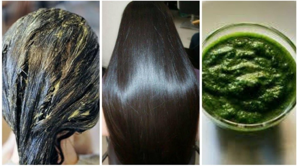 Say no to hair dye! This awesome of betel leaves, white hair in 5 minutes black and thick hair on bald head too! 14 516744 Betel Leaf Benefits for Hair 2