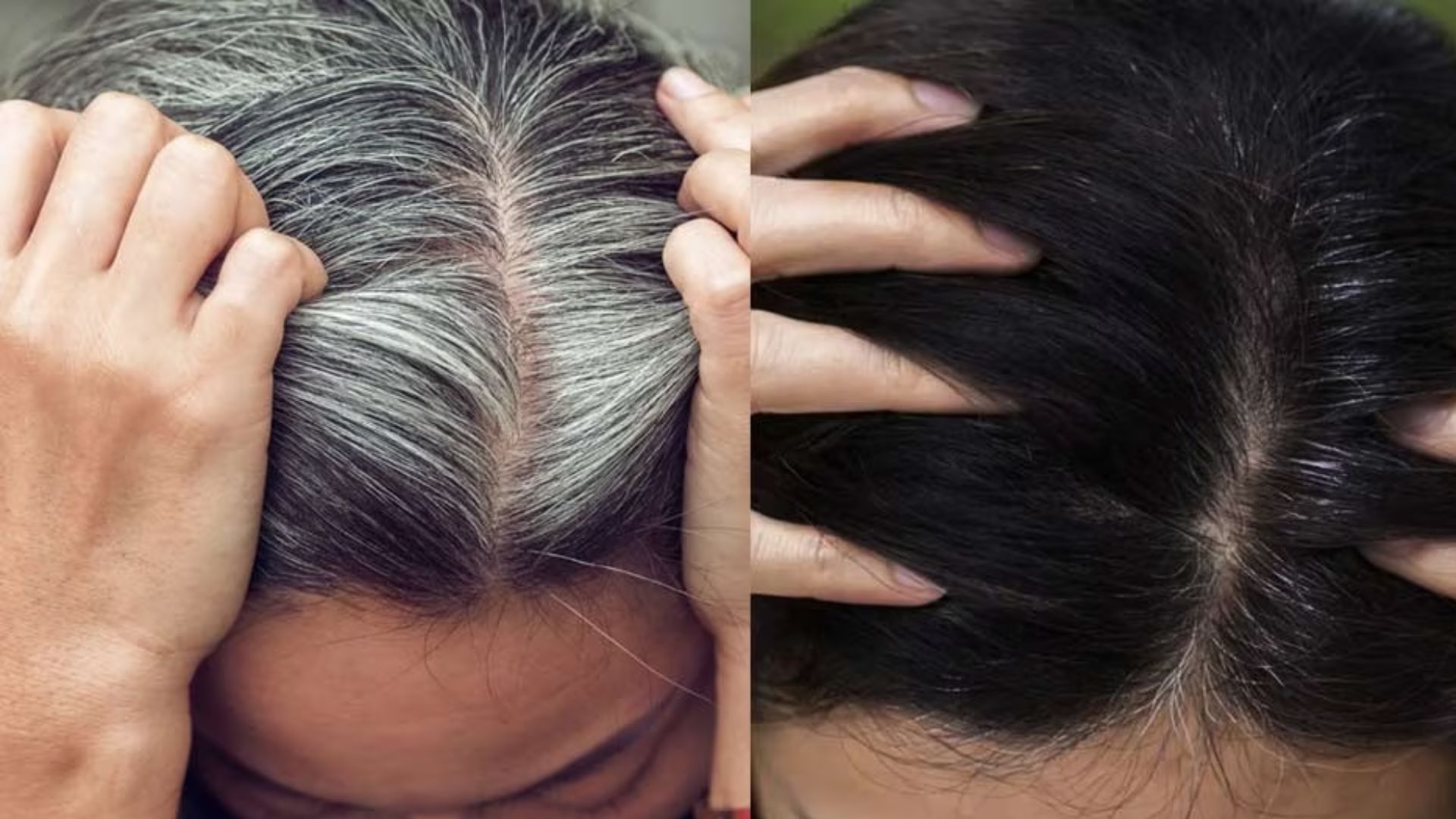 Say Goodbye to Hair Dye: This miraculous leaf and castor oil will black to black in minutes, that too forever! 36 516788 White Hair 20